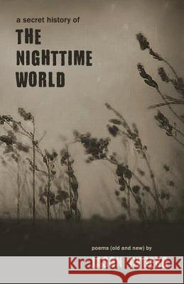 A Secret History of the Nighttime World Jason Ryberg 9781946358042