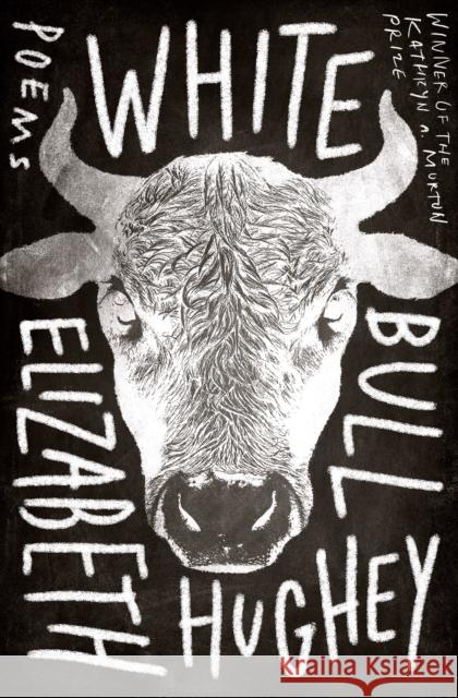 White Bull Hughey, Elizabeth 9781946448828 Sarabande Books