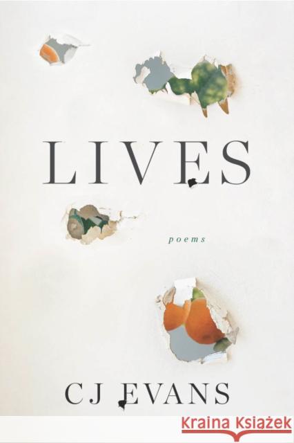 Lives  9781946448965 Sarabande Books