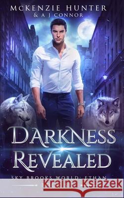 Darkness Revealed A. J. Connor McKenzie Hunter 9781946457127 Sky Publishing LLC