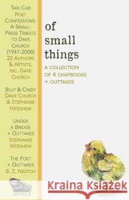 Of Small Things Stephanie Hiteshew, B Z Niditch, Alternating Current 9781946580269 Alternating Current