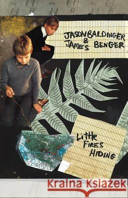 Little Fires Hiding Jason Baldinger James Benger 9781946642691