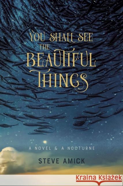 You Shall See the Beautiful Things – A Novel & A Nocturne Steve Amick 9781946724595 Acre Books