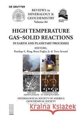 High Temperature Gas-Solid Reactions in Earth and Planetary Processes Penelope King, Bruce Fegley, Terry Seward 9781946850003 De Gruyter (JL)