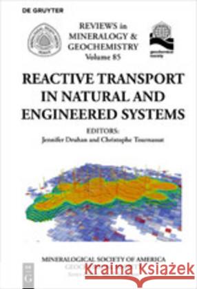 Reactive Transport in Natural and Engineered Systems Jennifer Druhan Christophe Tournassat Mineralogical Society of America 9781946850010 de Gruyter