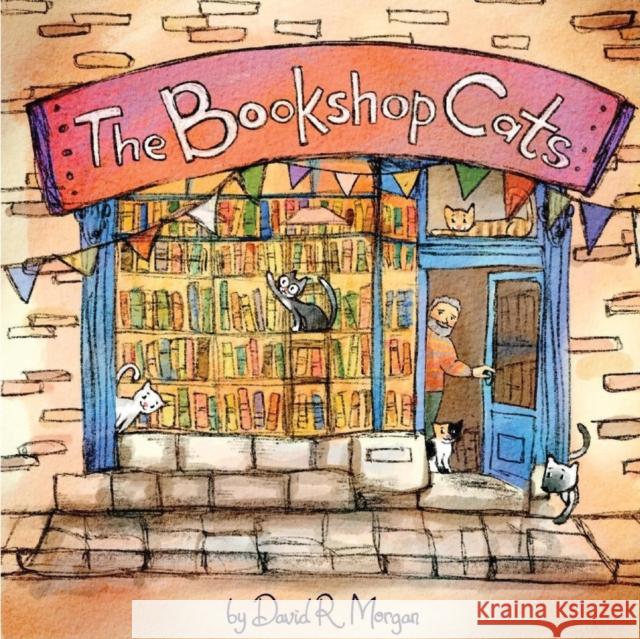 The Bookshop Cats David R. Morgan Terrie Sizemore 9781946908124 2 Z Press LLC