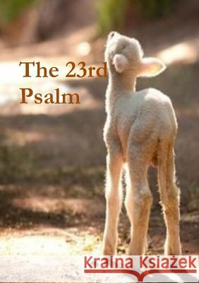The 23rd Psalm Terrie Sizemore 9781946908964