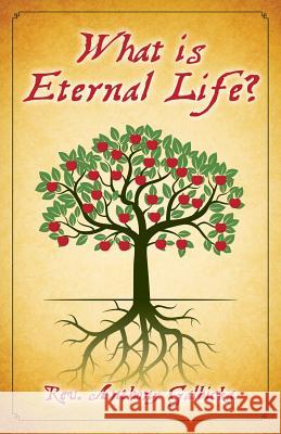 What Is Eternal Life? Anthony Galbicka 9781946977281 Doug McLean