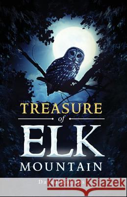 Treasure of Elk Mountain David Rollins 9781946977458 Yorkshire Publishing
