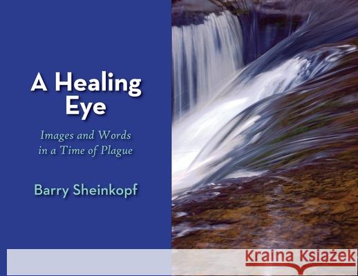 A Healing Eye: Images and Words in a Time of Plague Sheinkopf, Barry 9781946989659 Full Court Press