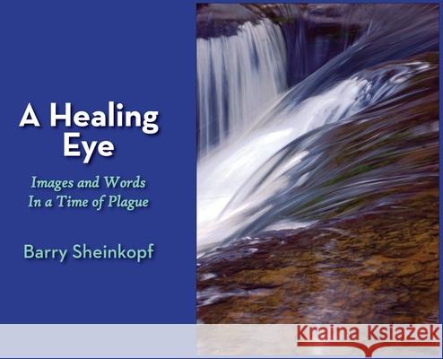 A Healing Eye: Images and Words in a Time of Plague Barry Sheinkopf Barry Sheinkopf 9781946989673 Full Court Press