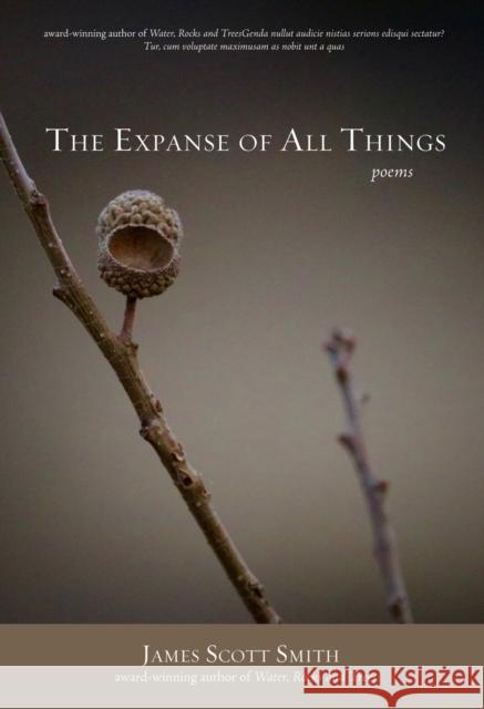 The Expanse of All Things James Scott Smith 9781947003606 Homebound Publications