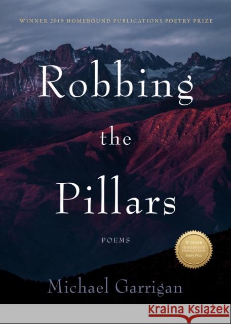 Robbing the Pillars: Poems Garrigan, Michael 9781947003842 Little Bound Books