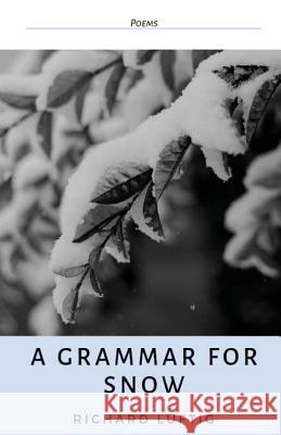 A Grammar for Snow Richard Luftig 9781947021952 Unsolicited Press