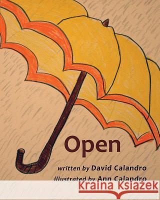 Open David Calandro Ann Calandro 9781947067431 Shanti Arts LLC