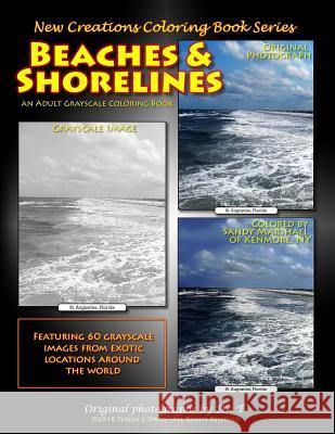 New Creations Coloring Book Series: Beaches & Shorelines Dr Teresa Davis Dr Teresa Davis Brad Davis 9781947121355 New Creations Coloring Book Series