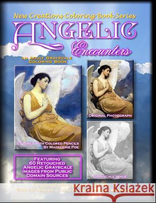 New Creations Coloring Book Series: Angelic Encounters Teresa Davis Brad Davis Teresa Davis 9781947121591 New Creations Coloring Book Series