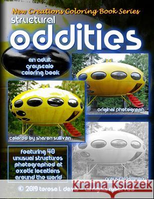 New Creations Coloring Book Series: Structural Oddities Brad Davis Teresa Davis 9781947121676