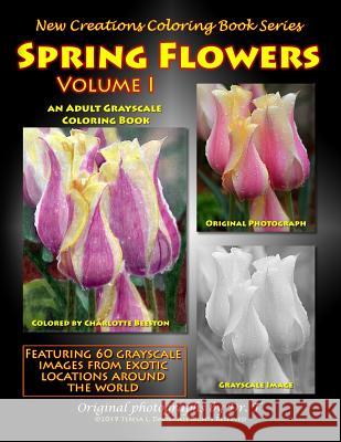 Spring Flowers Volume 1 Teresa Davis Brad Davis Teresa Davis 9781947121805 New Creations Coloring Book Series