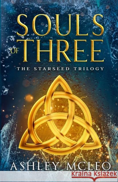 Souls of Three Ashley McLeo   9781947245044 Meraki Press