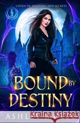 Bound by Destiny: A Crowns of Magic Universe Series Ashley McLeo 9781947245969 Meraki Press