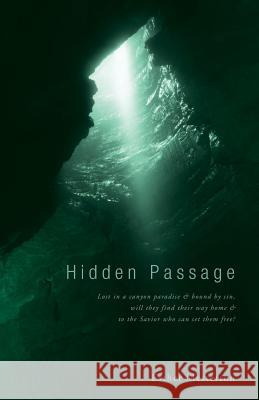 Hidden Passage Esther Mesterson 9781947247062 Yorkshire Publishing