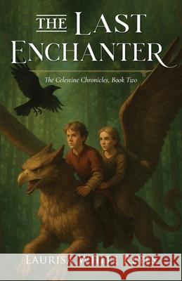 The Last Enchanter  9781947394155 Skyrocket Press