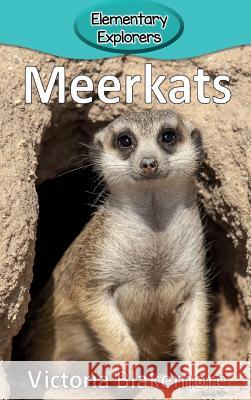 Meerkats Victoria Blakemore 9781947439061 Victoria Blakemore