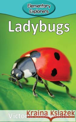 Ladybugs Victoria Blakemore 9781947439276 Victoria Blakemore