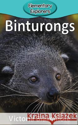 Binturongs Victoria Blakemore 9781947439399 Victoria Blakemore