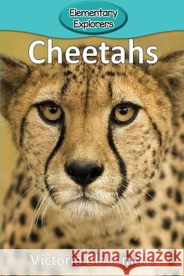 Cheetahs Victoria Blakemore 9781947439627 Victoria Blakemore