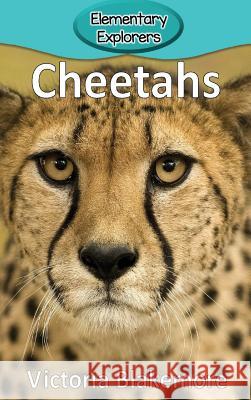 Cheetahs Victoria Blakemore 9781947439634 Victoria Blakemore