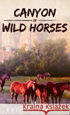 Canyon of Wild Horses Eric C Taylor 9781947491069 Yorkshire Publishing