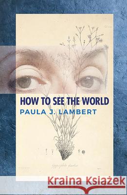 How to See the World: Poems Paula J. Lambert 9781947504233 Bottom Dog Press
