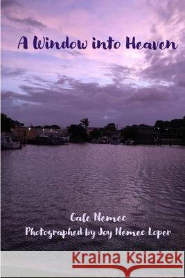 A Window into Heaven Joy Nemec Loper Martha Newman Gale Nemec 9781947608238 Nemec LLC
