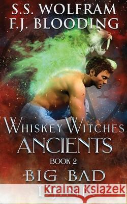 Big Bad Djinn S. S. Wolfram 9781947790407 Whistling Book Press