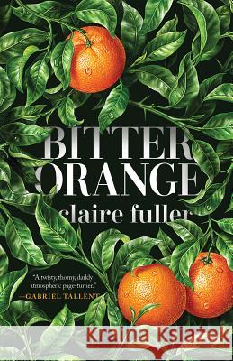 Bitter Orange Claire Fuller 9781947793156 Tin House Books