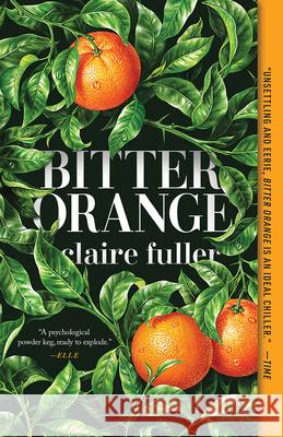 Bitter Orange Claire Fuller 9781947793606 Tin House Books