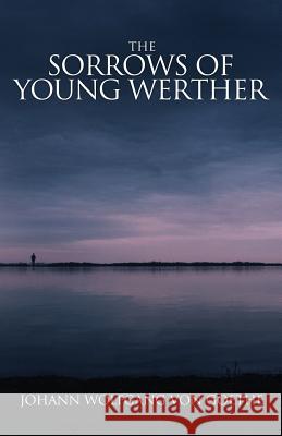 The Sorrows of Young Werther Johann Wolfgang Von Goethe, Benjamin Strycker, Bayard Taylor 9781947844360 Suzeteo Enterprises