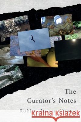 The Curator's Notes Robin Rosen Chang Diane Lockward 9781947896376 Terrapin Books