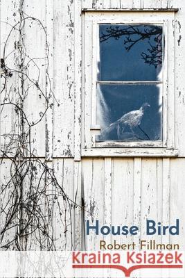 House Bird Robert Fillman 9781947896529 Terrapin Books