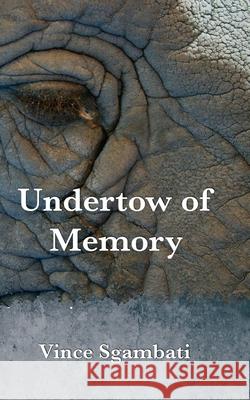 Undertow of Memory Vince Sgambati 9781947917354