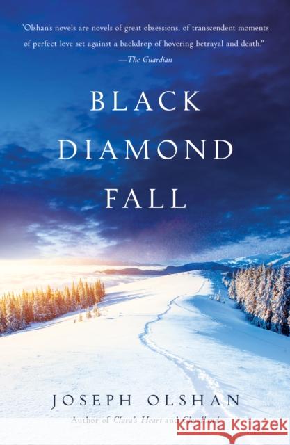 Black Diamond Fall Joseph Olshan 9781947993730 Polis Books