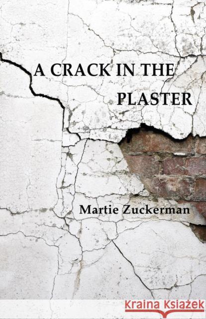 A Crack in the Plaster Martie Zuckerman 9781948046398