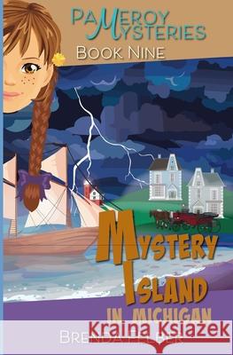 Mystery Island: A Pameroy Mystery in Michigan Brenda S. Felber 9781948064088