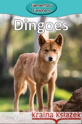 Dingoes Victoria Blakemore 9781948388283 Victoria Blakemore