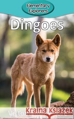 Dingoes Victoria Blakemore 9781948388290 Victoria Blakemore