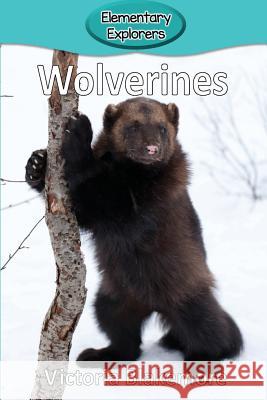 Wolverines Victoria Blakemore 9781948388382 Victoria Blakemore