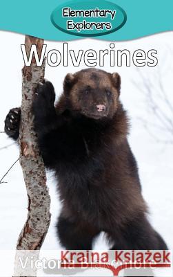 Wolverines Victoria Blakemore 9781948388399 Victoria Blakemore