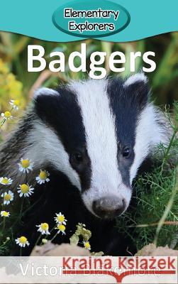 Badgers Victoria Blakemore 9781948388450 Victoria Blakemore